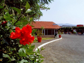 Отель Hotel Paraiso  Тепик